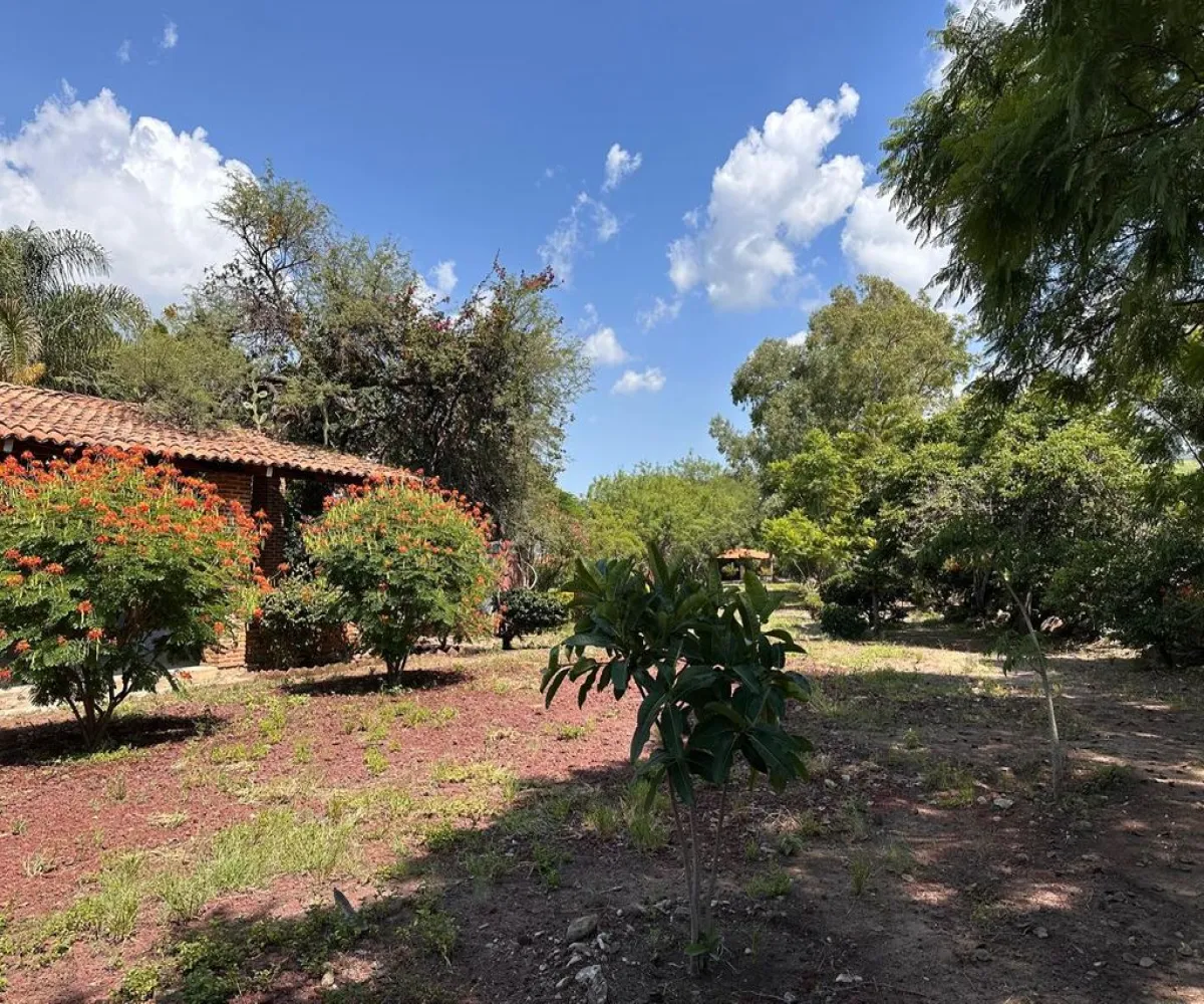 En Venta,San Juan Evangelista,Carr. San Juan Evangelista S/N, Tlajomulco de Zúñiga, Jalisco 45665, 5 Habitaciones,2 Baños,Carr. San Juan Evangelista,1,pRA26To