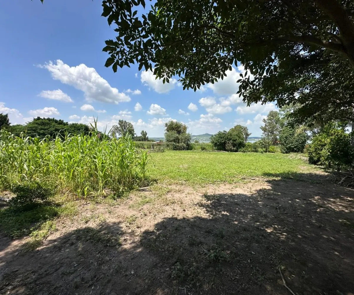 En Venta,San Juan Evangelista,Carr. San Juan Evangelista S/N, Tlajomulco de Zúñiga, Jalisco 45665, 5 Habitaciones,2 Baños,Carr. San Juan Evangelista,1,pRA26To