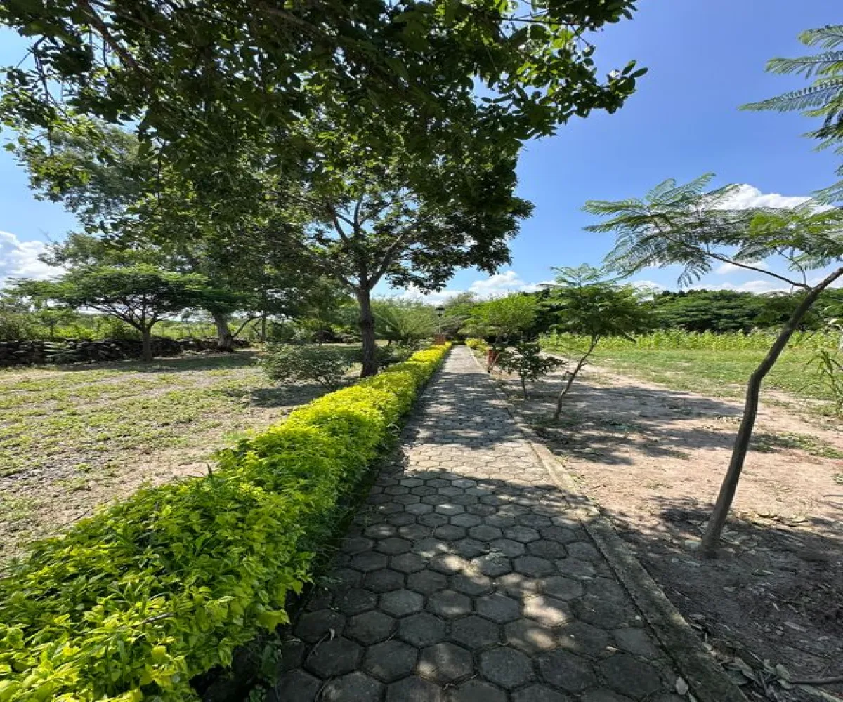 En Venta,San Juan Evangelista,Carr. San Juan Evangelista S/N, Tlajomulco de Zúñiga, Jalisco 45665, 5 Habitaciones,2 Baños,Carr. San Juan Evangelista,1,pRA26To