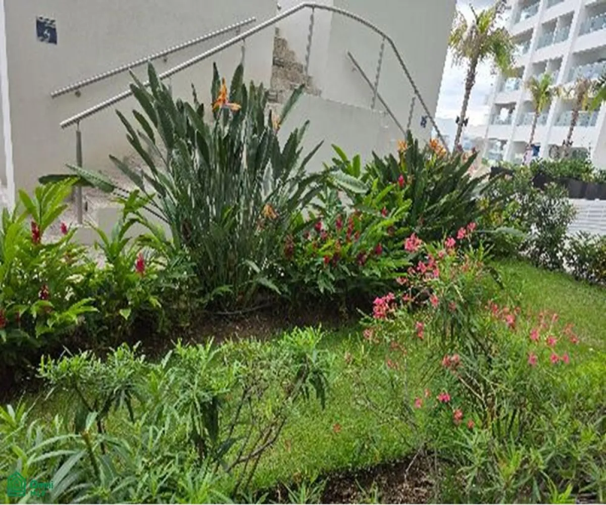 Departamento En Venta,Las Glorias,Calle Febronio Uribe 171, Puerto Vallarta, Jalisco 48333, 1 Cuarto,1 Baño,Calle Febronio Uribe,1,MX251026718