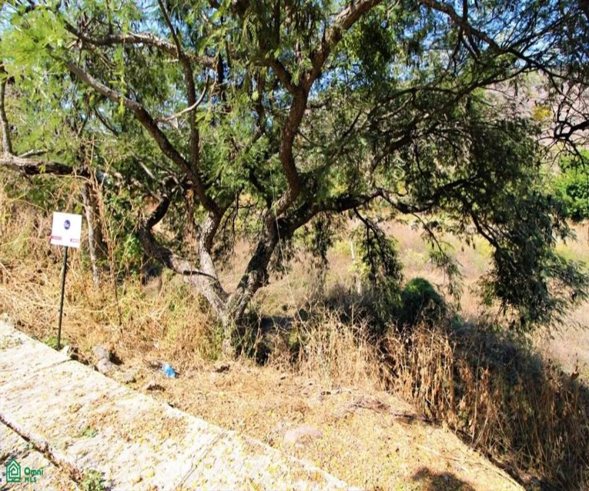 Terreno En Venta,Brisas de Chapala,Brisas de Chapala 29, M11, Chapala, Jalisco 45901,Brisas de Chapala,MX251027109