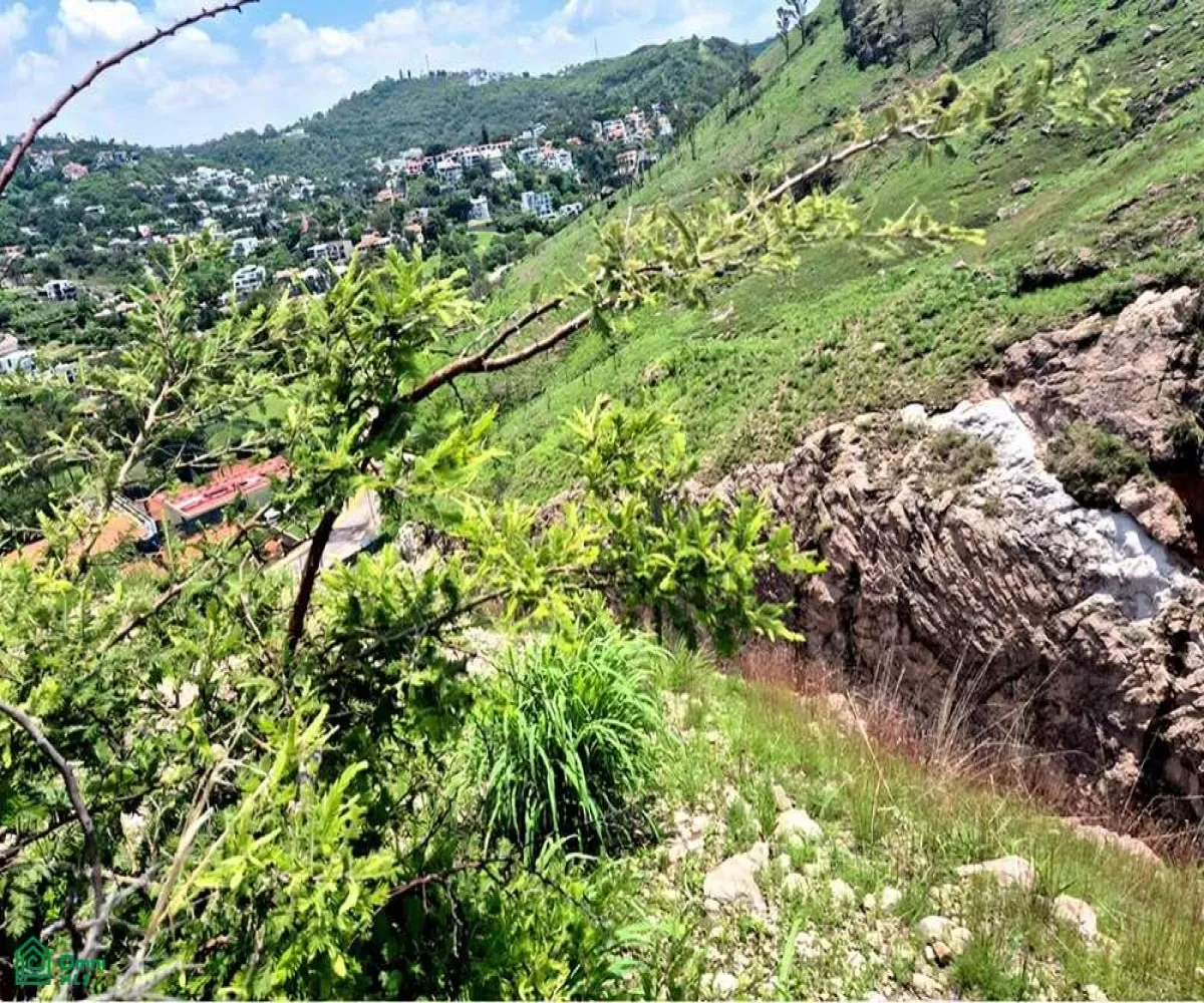 Edificio En Venta,Las Cañadas,Paseo de la Cañada Norte S/N, Zapopan, Jalisco 45130,Paseo de la Cañada Norte,MX251027456