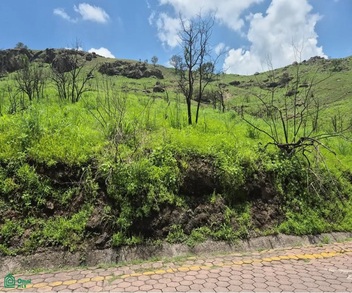 Edificio En Venta,Las Cañadas,Paseo de la Cañada Norte S/N, Zapopan, Jalisco 45130,Paseo de la Cañada Norte,MX251027456