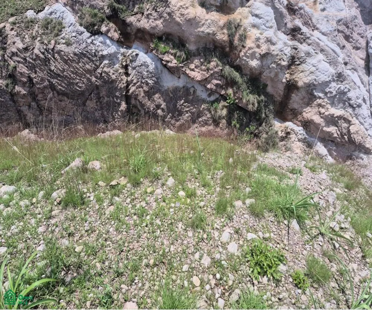 Edificio En Venta,Las Cañadas,Paseo de la Cañada Norte S/N, Zapopan, Jalisco 45130,Paseo de la Cañada Norte,MX251027456