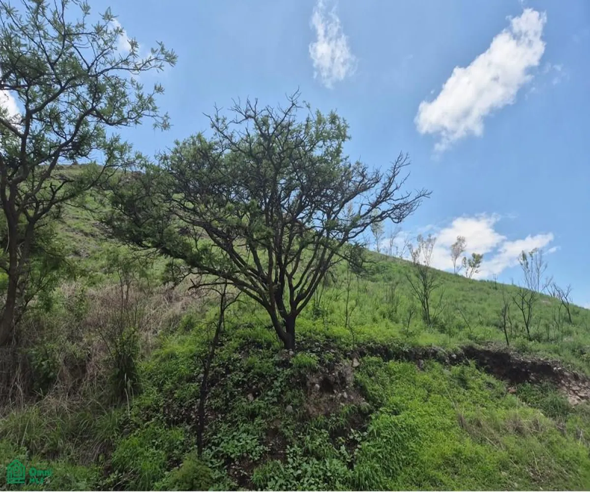 Edificio En Venta,Las Cañadas,Paseo de la Cañada Norte S/N, Zapopan, Jalisco 45130,Paseo de la Cañada Norte,MX251027456