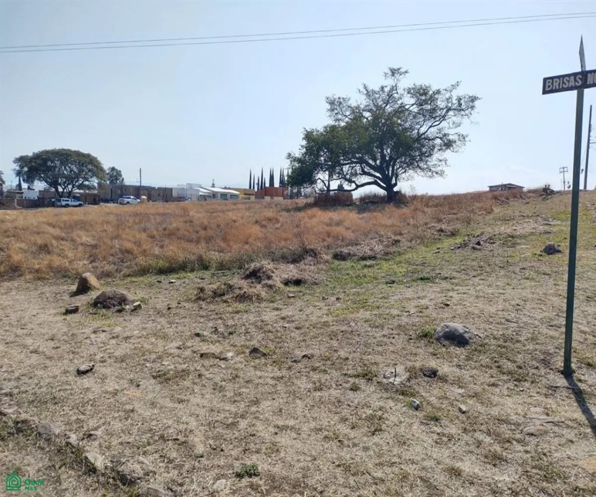 Terreno En Venta,Brisas de Chapala,Brisas de Chapala 2, Chapala, Jalisco 45901,Brisas de Chapala,MX251027737