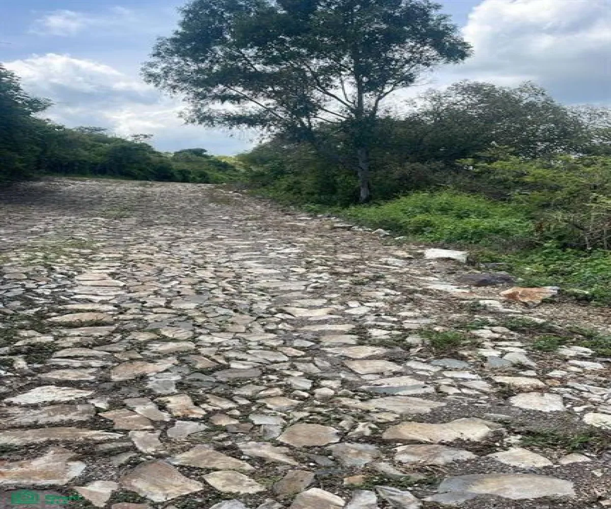 Terreno En Venta,Cajititlán,predio -, Tlajomulco de Zuniga, Jalisco 45670,predio,MX251028091