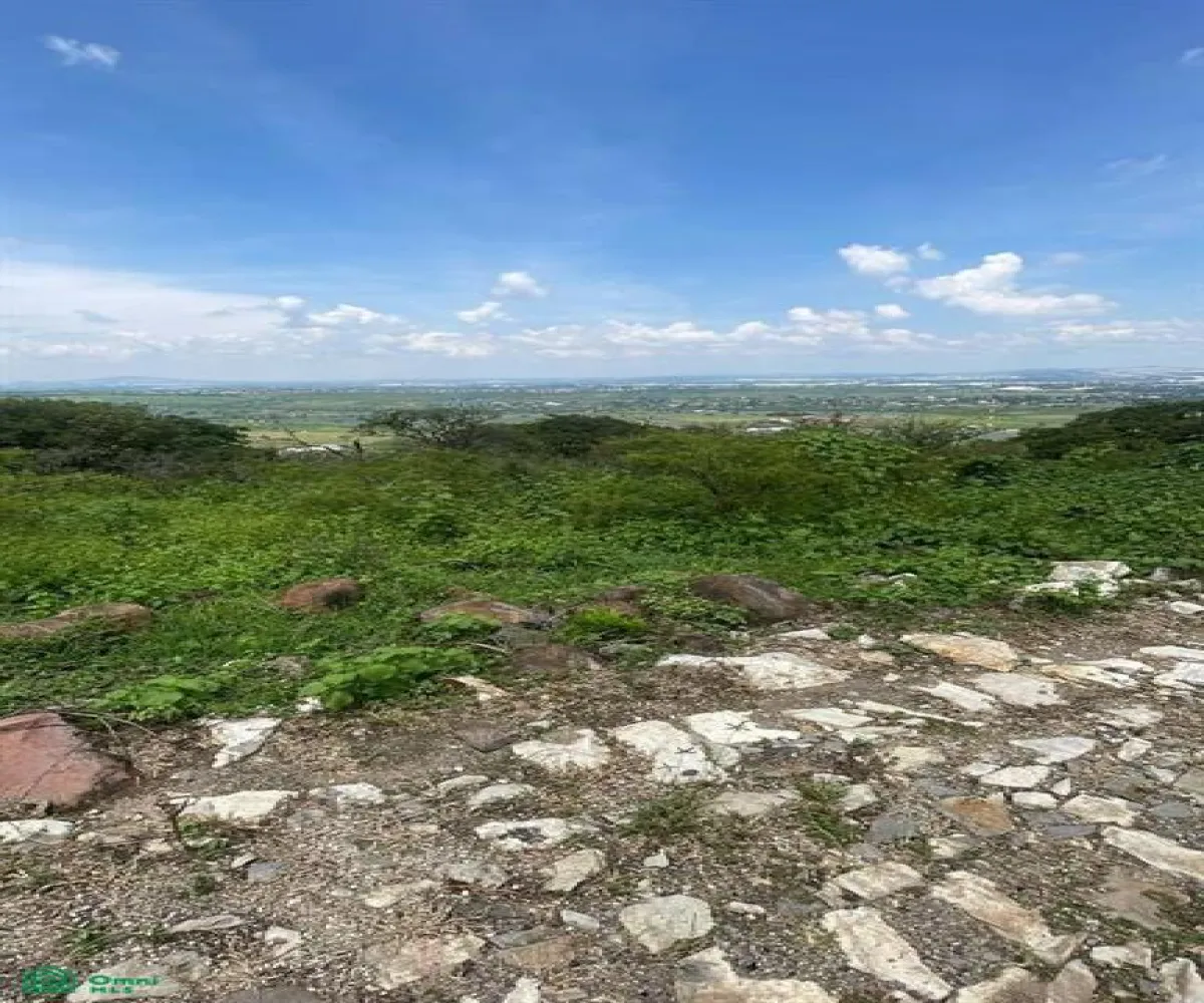 Terreno En Venta,Cajititlán,predio -, Tlajomulco de Zuniga, Jalisco 45670,predio,MX251028091
