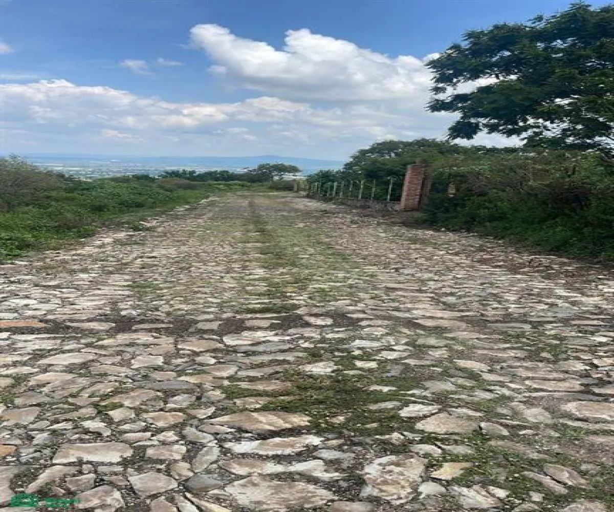 Terreno En Venta,Cajititlán,predio -, Tlajomulco de Zuniga, Jalisco 45670,predio,MX251028091
