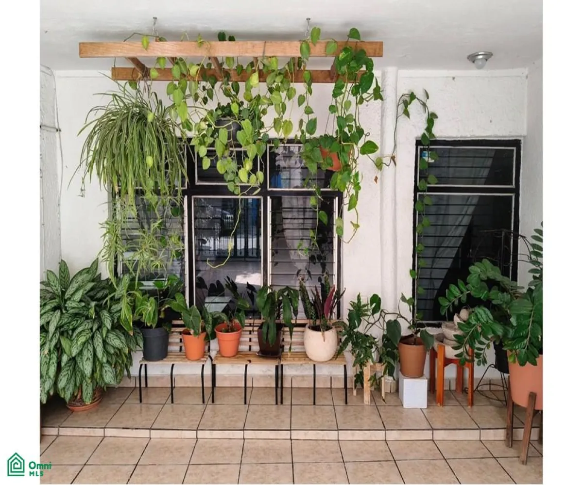 Casa En Venta,Echeverría,Crisoforo Canseco 798, Guadalajara, Jalisco 44970, 7 Habitaciones,3 Baños,Crisoforo Canseco,MX251028121