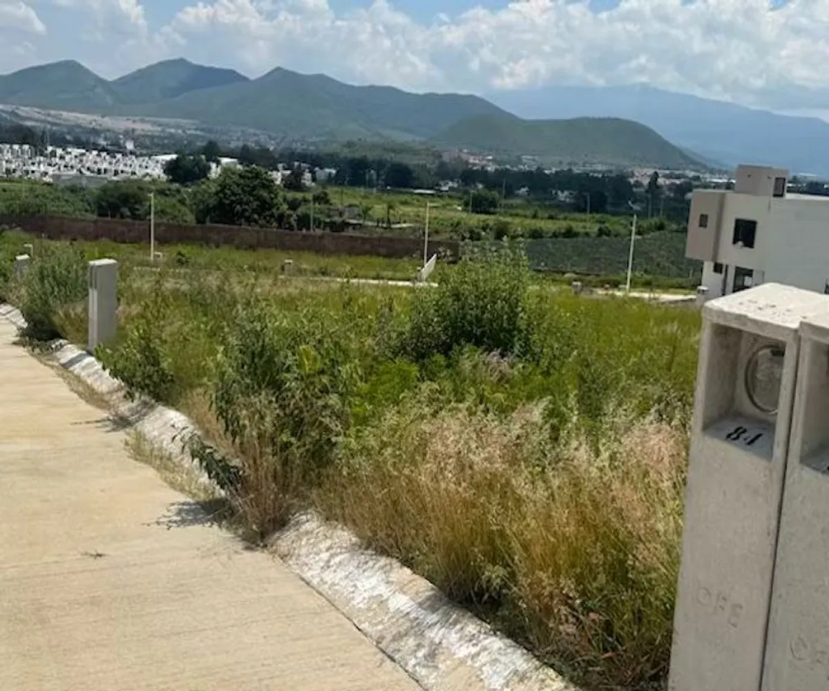 Terreno En Venta,Tlajomulco de Zuñiga,Albasur S/N, Jal., Jalisco 45645,Albasur,pNqnOfZ