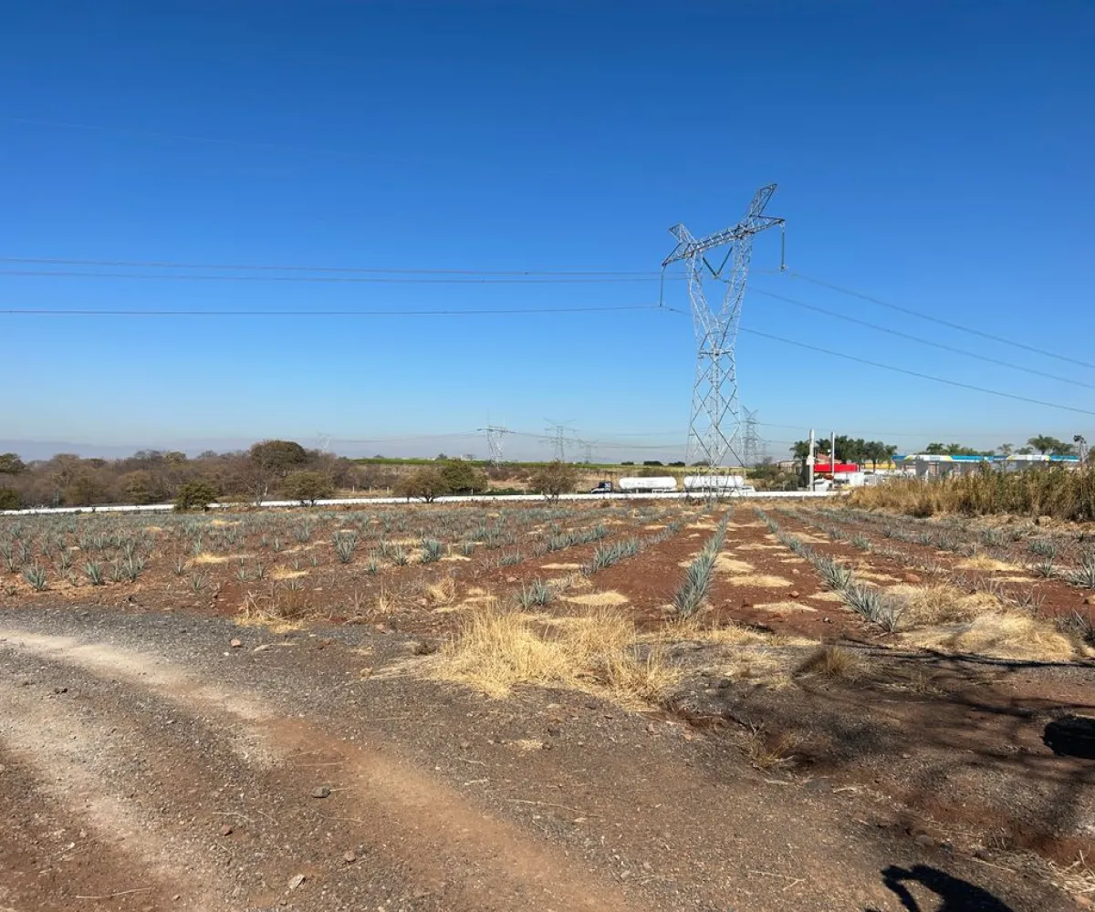 Terreno En Venta,Acatlán de Juárez Centro,autopista guadalajara colima S/N, Acatlán de Juárez, Jalisco 45700,autopista guadalajara colima,pN73wrX