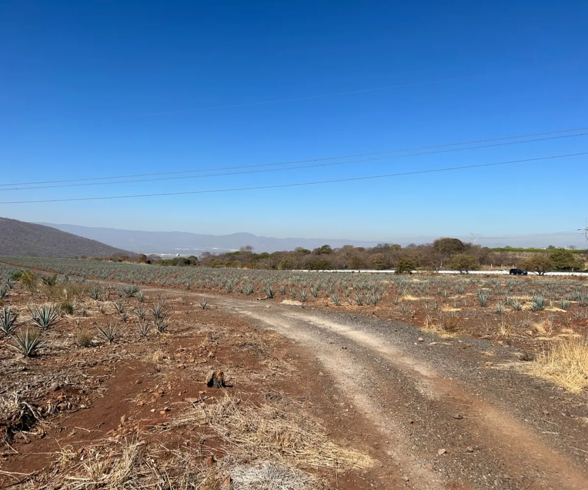 Terreno En Venta,Acatlán de Juárez Centro,autopista guadalajara colima S/N, Acatlán de Juárez, Jalisco 45700,autopista guadalajara colima,pN73wrX