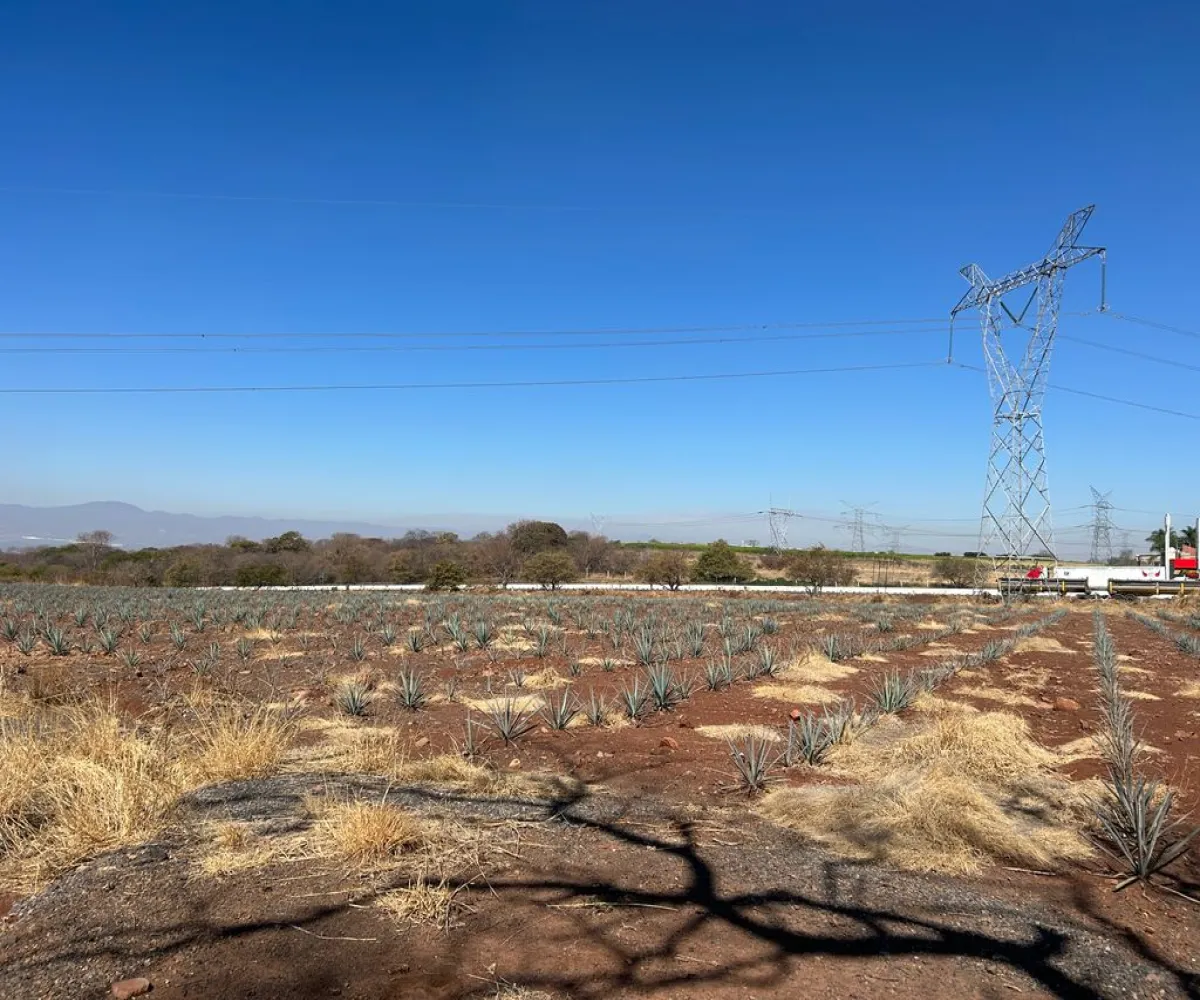 Terreno En Venta,Acatlán de Juárez Centro,autopista guadalajara colima S/N, Acatlán de Juárez, Jalisco 45700,autopista guadalajara colima,pN73wrX