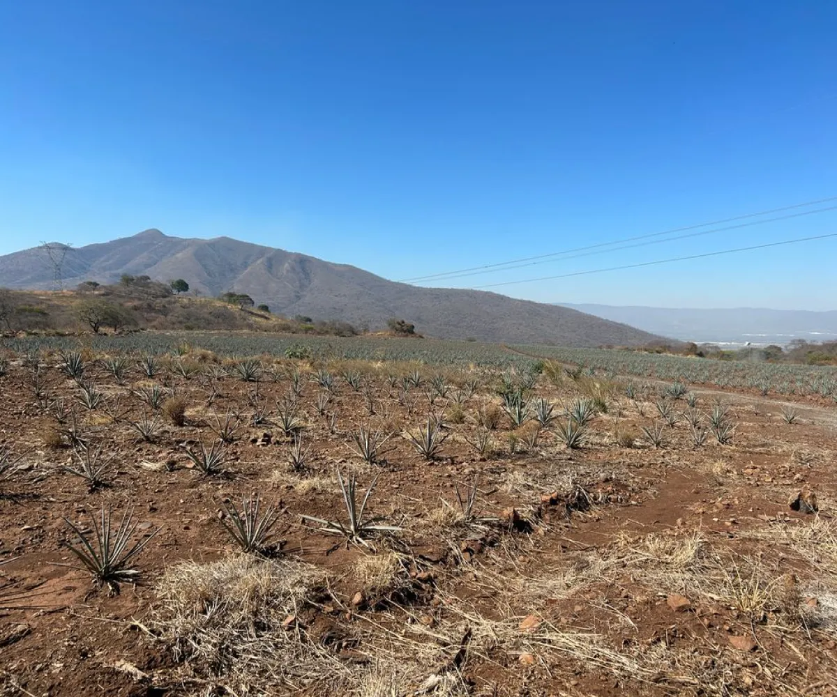 Terreno En Venta,Acatlán de Juárez Centro,autopista guadalajara colima S/N, Acatlán de Juárez, Jalisco 45700,autopista guadalajara colima,pN73wrX