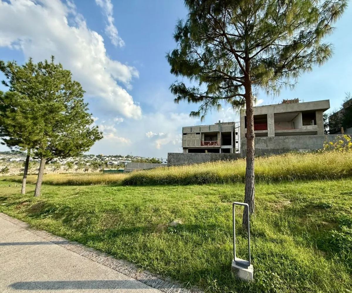 Terreno En Venta,Vallarta Universidad,Avenida Juan Palomar y Arias 3000, Zapopan, Jalisco 45110,Avenida Juan Palomar y Arias,pZhUmmL