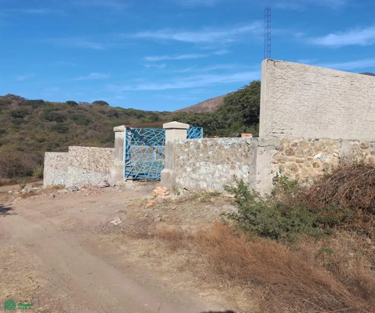 Terreno En Venta,San Nicolás de Ibarra,PASEO DEL OSO B, Chapala, Jalisco 45940,PASEO DEL OSO,MX241030747