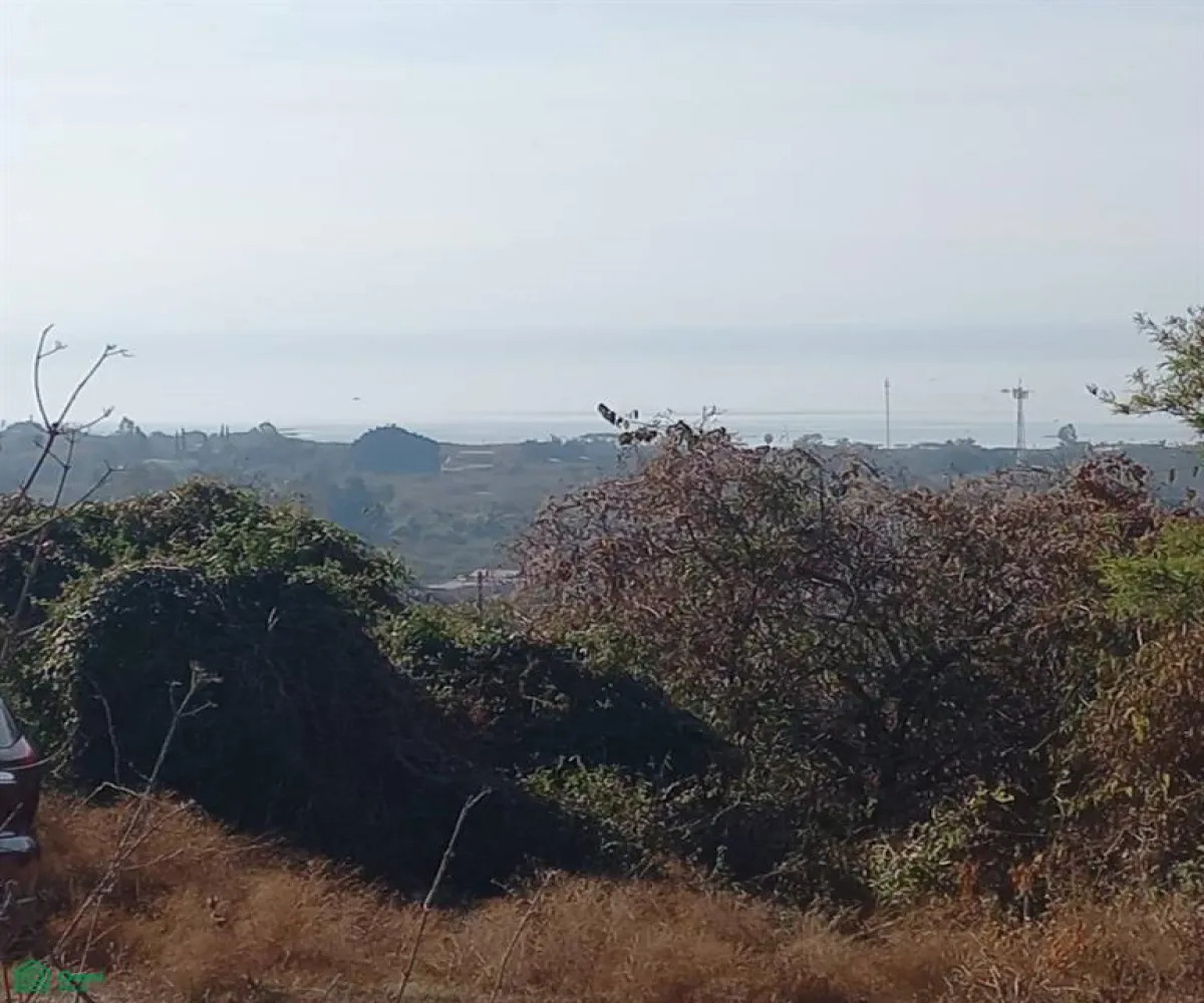 Terreno En Venta,San Nicolás de Ibarra,PASEO DEL OSO B, Chapala, Jalisco 45940,PASEO DEL OSO,MX241030747