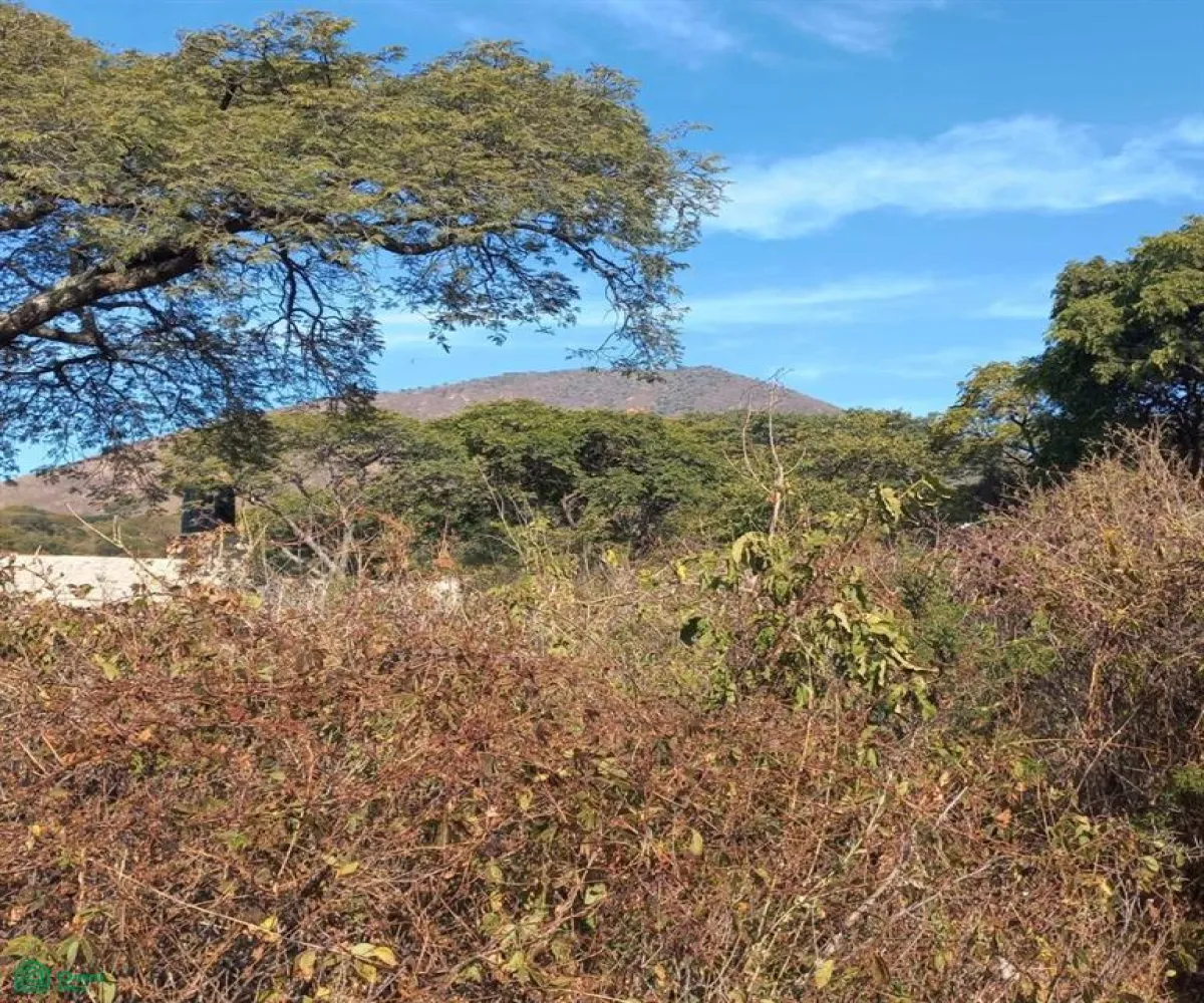 Terreno En Venta,San Nicolás de Ibarra,PASEO DEL OSO B, Chapala, Jalisco 45940,PASEO DEL OSO,MX241030747