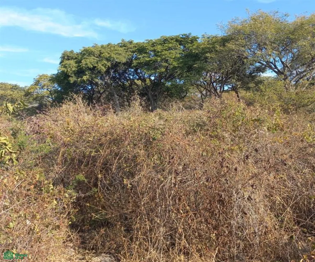 Terreno En Venta,San Nicolás de Ibarra,PASEO DEL OSO B, Chapala, Jalisco 45940,PASEO DEL OSO,MX241030747