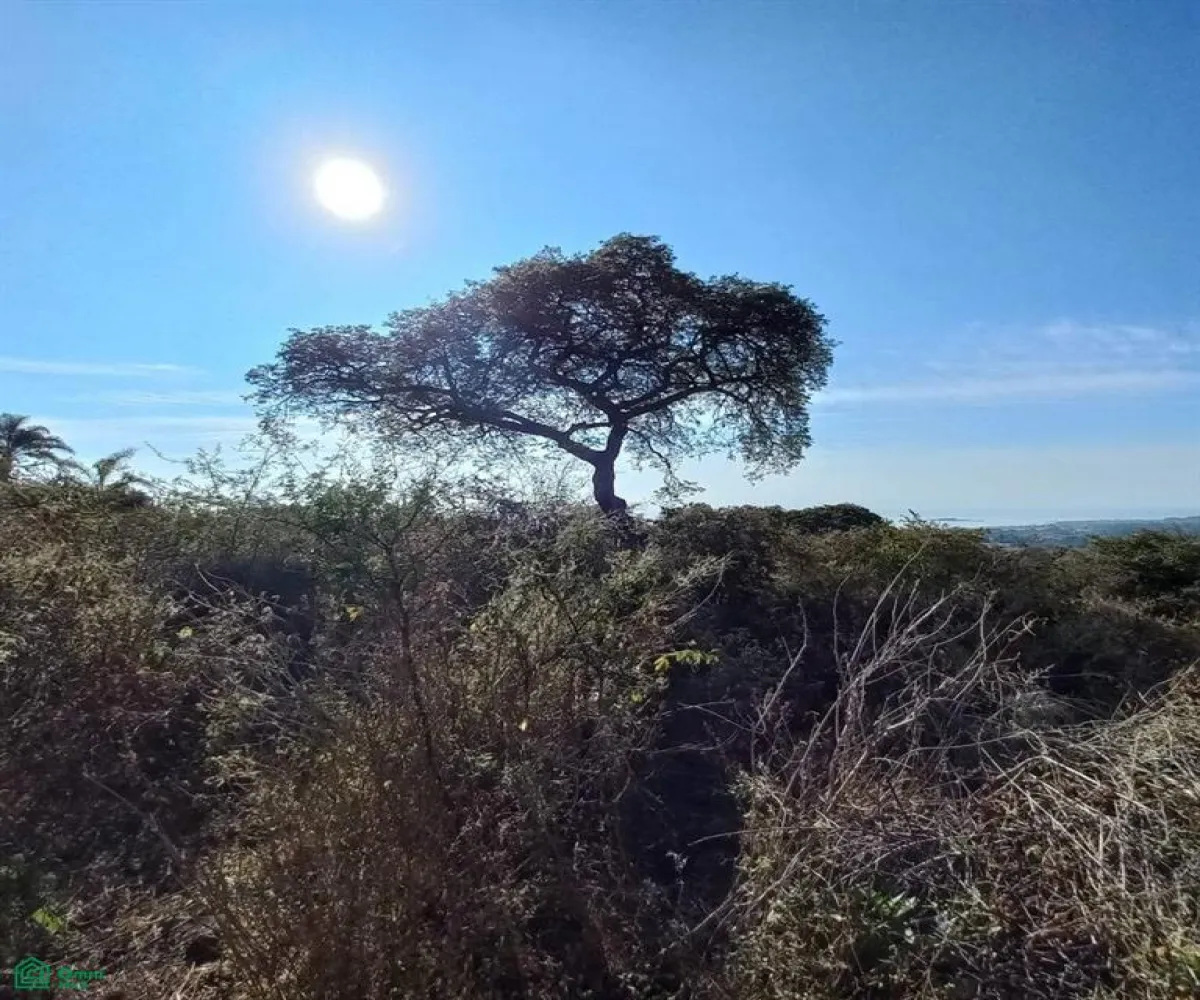 Terreno En Venta,San Nicolás de Ibarra,PASEO DEL OSO B, Chapala, Jalisco 45940,PASEO DEL OSO,MX241030747