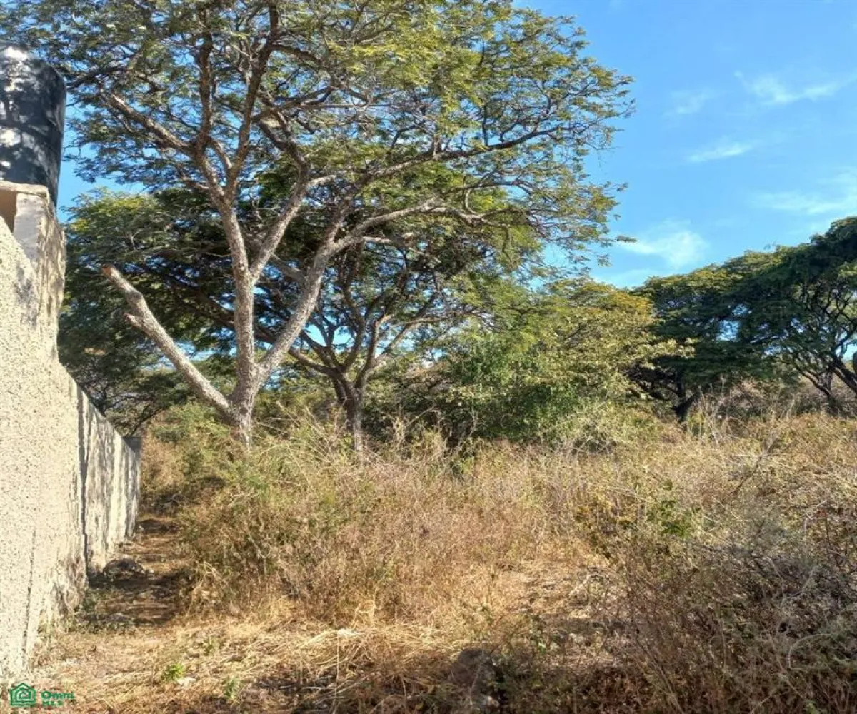 Terreno En Venta,San Nicolás de Ibarra,PASEO DEL OSO B, Chapala, Jalisco 45940,PASEO DEL OSO,MX241030747