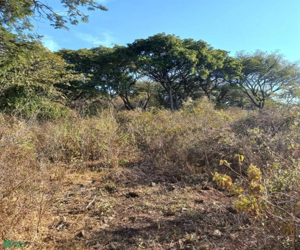 Terreno En Venta,San Nicolás de Ibarra,PASEO DEL OSO B, Chapala, Jalisco 45940,PASEO DEL OSO,MX241030747