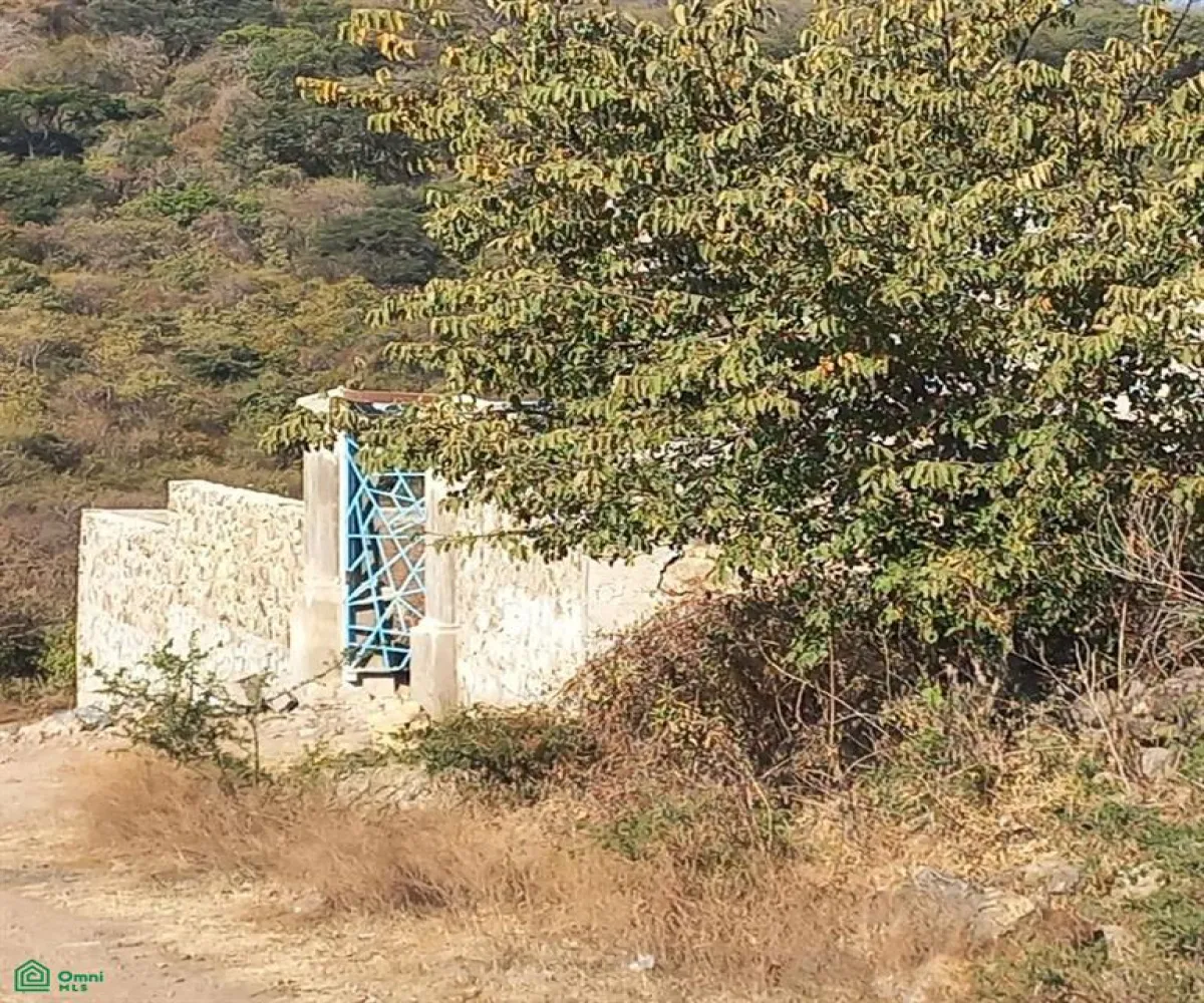 Terreno En Venta,San Nicolás de Ibarra,PASEO DEL OSO B, Chapala, Jalisco 45940,PASEO DEL OSO,MX241030747