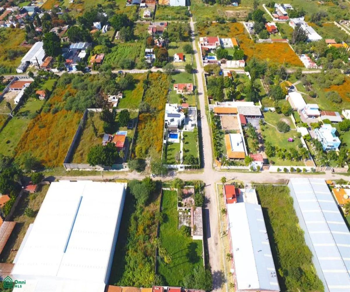 Casa En Venta,Los Sauces,Vereda de la Camelia 1, Tlajomulco de Zuniga, Jalisco 45641, 5 Habitaciones,4 Baños,Vereda de la Camelia,MX251030775