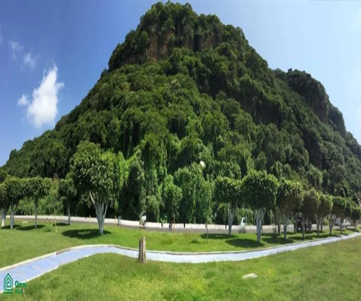 Terreno En Venta,Chapala Centro,Carretera Chapala Jocotepec 907, Chapala, Jalisco 45900,Carretera Chapala Jocotepec,MX251031002