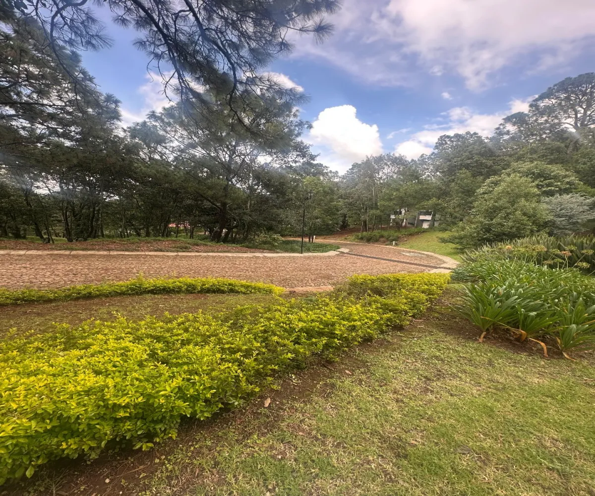 Terreno En Venta,Epenche Chico (Penche Chico),La escatada - Epeche chico 19, Mazamitla, Jalisco 49510,Fraccionamiento Santa Barbara,La escatada - Epeche chico,723258