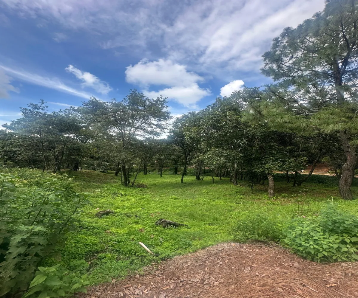 Terreno En Venta,Epenche Chico (Penche Chico),La escatada - Epeche chico 19, Mazamitla, Jalisco 49510,Fraccionamiento Santa Barbara,La escatada - Epeche chico,723258