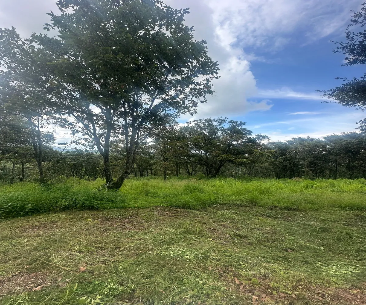 Terreno En Venta,Epenche Chico (Penche Chico),La escatada - Epeche chico 19, Mazamitla, Jalisco 49510,Fraccionamiento Santa Barbara,La escatada - Epeche chico,723258