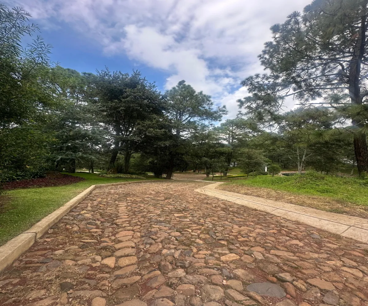 Terreno En Venta,Epenche Chico (Penche Chico),La escatada - Epeche chico 19, Mazamitla, Jalisco 49510,Fraccionamiento Santa Barbara,La escatada - Epeche chico,723258