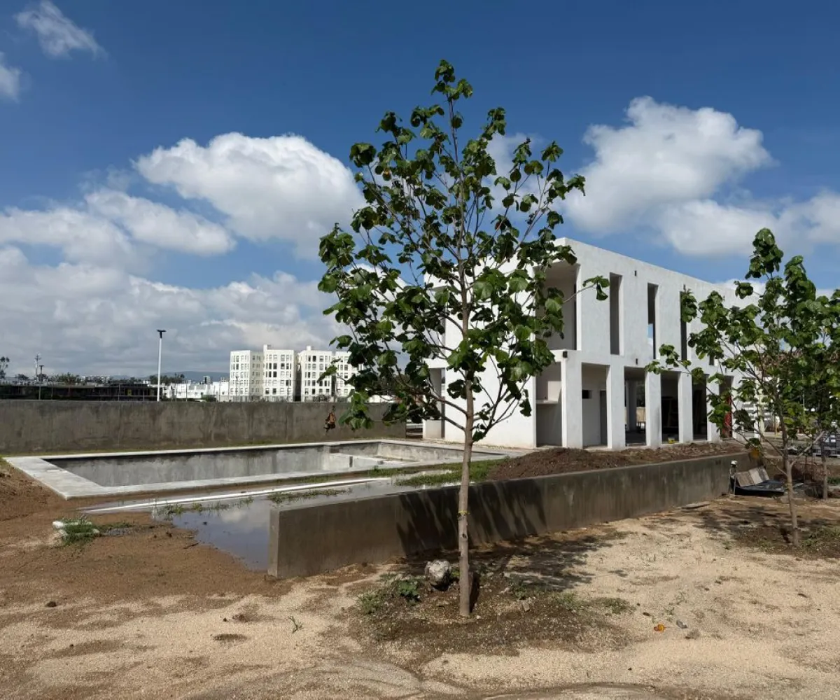 Terreno En Venta,Parques de Zapopan,Calle Magnolias 445, Zapopan, Jalisco 45136,Calle Magnolias,pnCuTdX