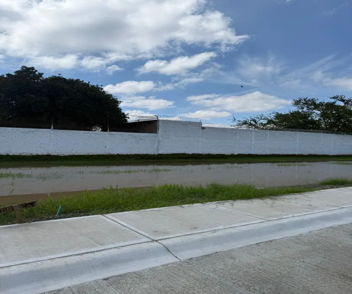 Terreno En Venta,Parques de Zapopan,Calle Magnolias 445, Zapopan, Jalisco 45136,Calle Magnolias,pnCuTdX