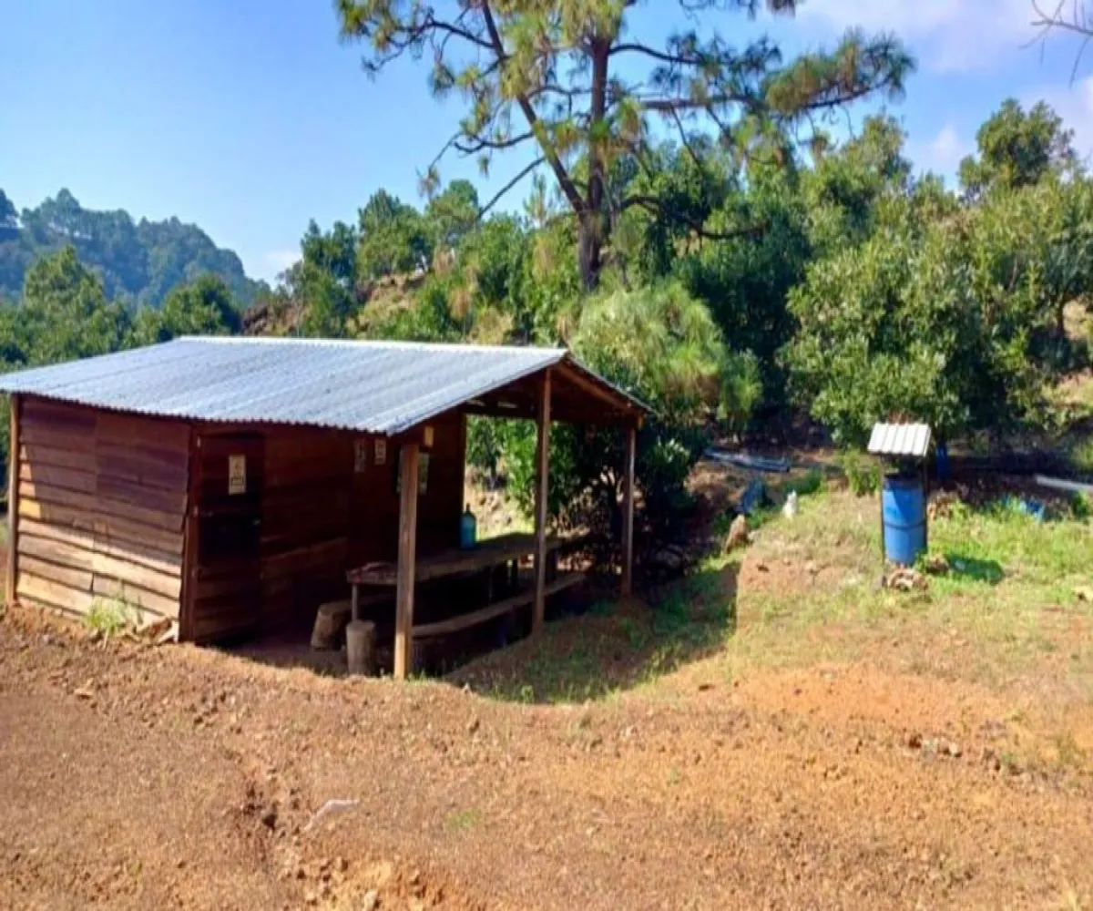 Terreno En Venta,Tancitaro S/N, Tancítaro, Michoacán de Ocampo 60460, 1 Cuarto,1 Baño,Tancitaro,1,pigV5lD Terreno En Venta,Tancitaro S/N, Tancítaro, Michoacán de Ocampo 60460, 1 Cuarto,1 Baño,Tancitaro,1,pigV5lD