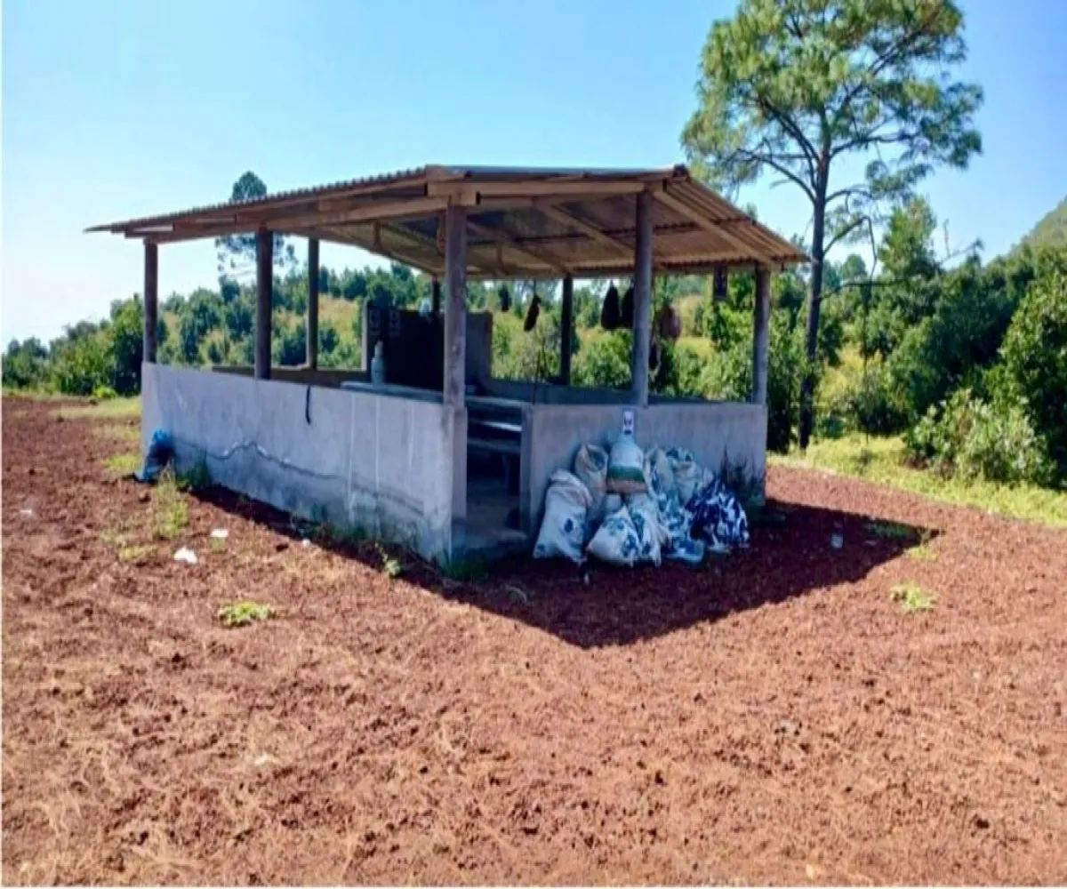 Terreno En Venta,Tancitaro S/N, Tancítaro, Michoacán de Ocampo 60460, 1 Cuarto,1 Baño,Tancitaro,1,pigV5lD Terreno En Venta,Tancitaro S/N, Tancítaro, Michoacán de Ocampo 60460, 1 Cuarto,1 Baño,Tancitaro,1,pigV5lD