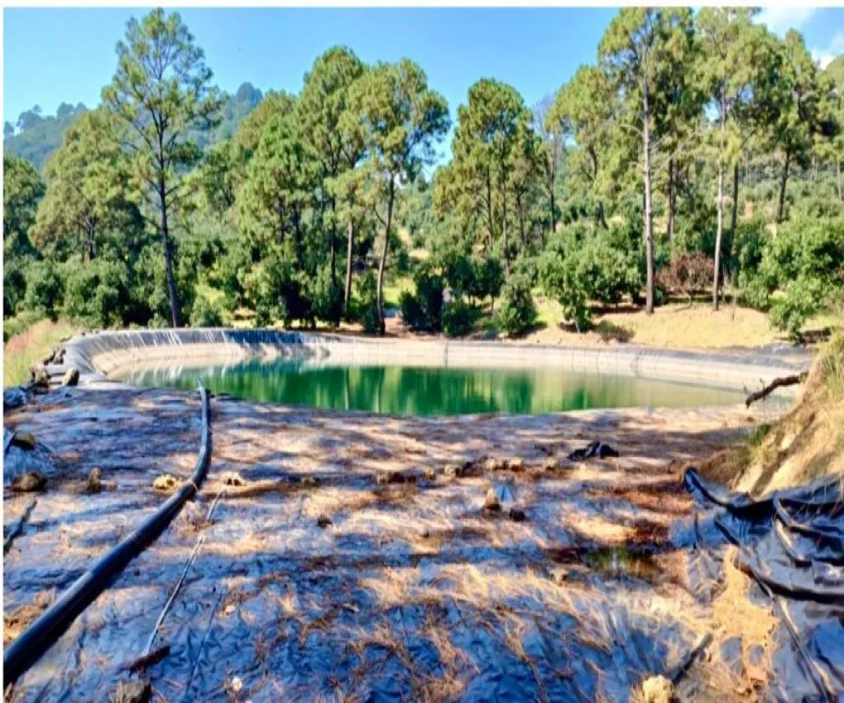 Terreno En Venta,Tancitaro S/N, Tancítaro, Michoacán de Ocampo 60460, 1 Cuarto,1 Baño,Tancitaro,1,pigV5lD Terreno En Venta,Tancitaro S/N, Tancítaro, Michoacán de Ocampo 60460, 1 Cuarto,1 Baño,Tancitaro,1,pigV5lD