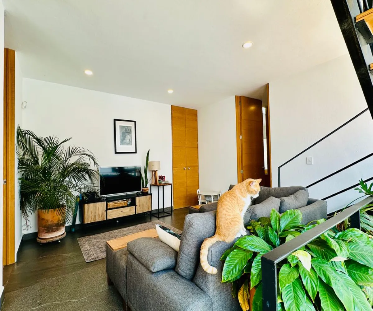 Casa En Venta,Bosques Vallarta,Circuito del Bosque 217, Zapopan, Jalisco 45134, 3 Habitaciones,4 Baños,Circuito del Bosque,3,prkqAPZ Casa En Venta,Bosques Vallarta,Circuito del Bosque 217, Zapopan, Jalisco 45134, 3 Habitaciones,4 Baños,Circuito del Bosque,3,prkqAPZ