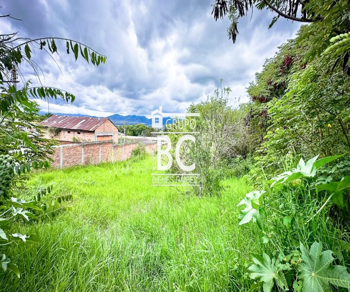 Terreno En Venta,Avicola,Guadalajara-Morelia 8, Morelia, Michoacán de Ocampo 58180,Guadalajara-Morelia,pYT6MRD Terreno En Venta,Avicola,Guadalajara-Morelia 8, Morelia, Michoacán de Ocampo 58180,Guadalajara-Morelia,pYT6MRD