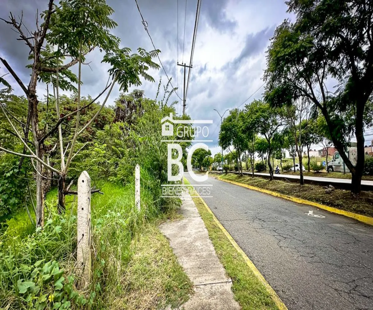 Terreno En Venta,Avicola,Guadalajara-Morelia 8, Morelia, Michoacán de Ocampo 58180,Guadalajara-Morelia,pYT6MRD Terreno En Venta,Avicola,Guadalajara-Morelia 8, Morelia, Michoacán de Ocampo 58180,Guadalajara-Morelia,pYT6MRD