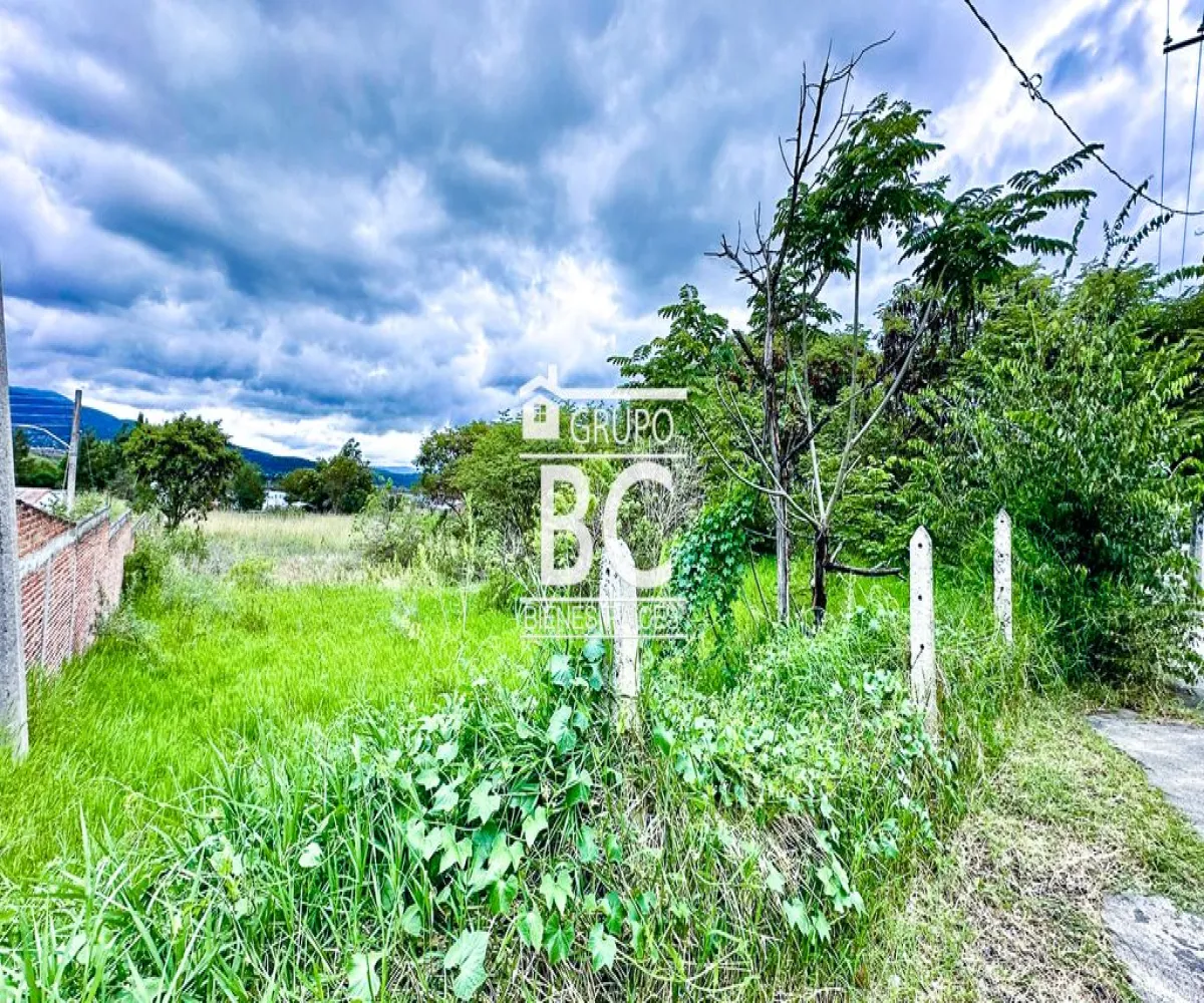 Terreno En Venta,Avicola,Guadalajara-Morelia 8, Morelia, Michoacán de Ocampo 58180,Guadalajara-Morelia,pYT6MRD Terreno En Venta,Avicola,Guadalajara-Morelia 8, Morelia, Michoacán de Ocampo 58180,Guadalajara-Morelia,pYT6MRD