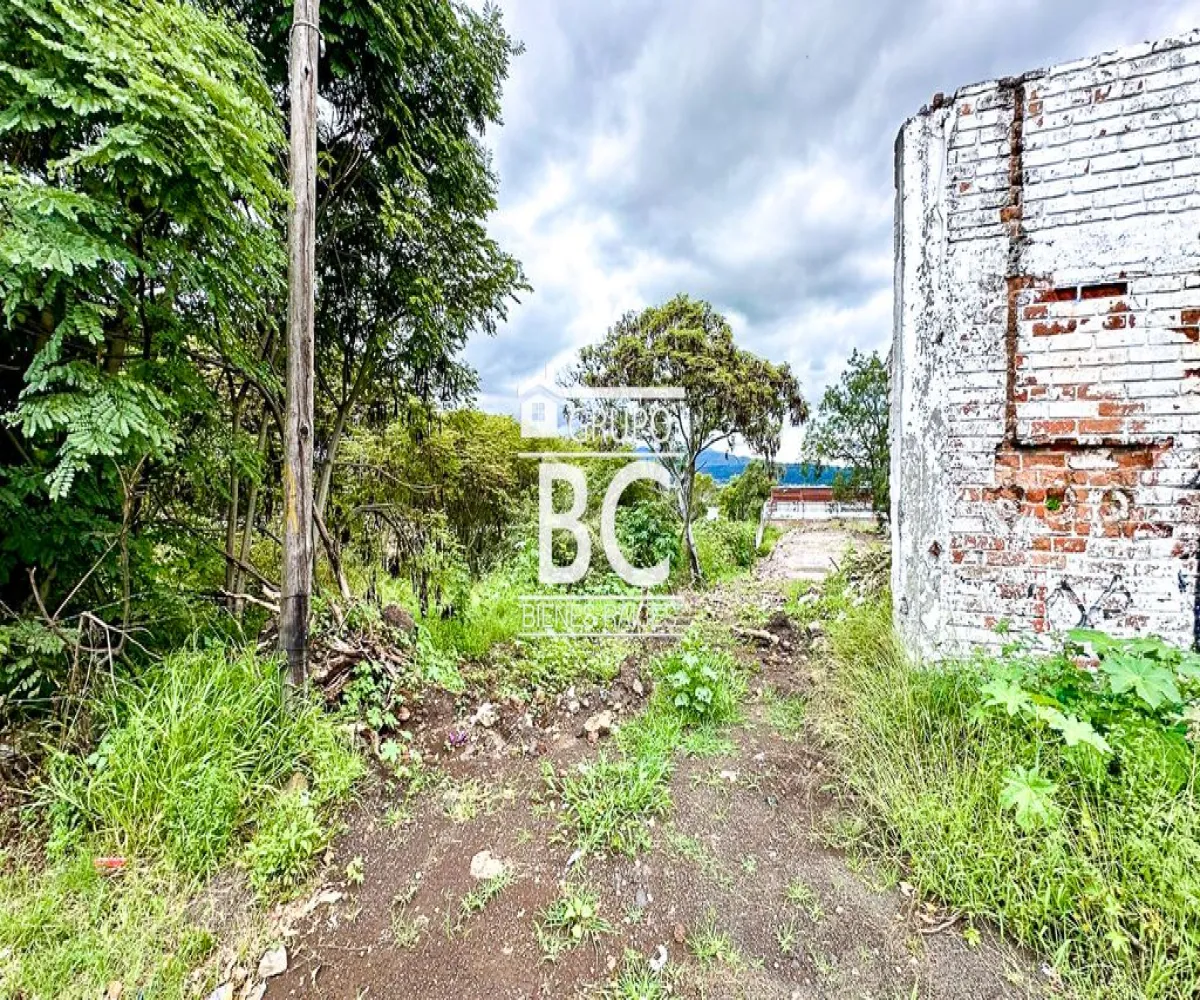 Terreno En Venta,Avicola,Guadalajara-Morelia 8, Morelia, Michoacán de Ocampo 58180,Guadalajara-Morelia,pYT6MRD Terreno En Venta,Avicola,Guadalajara-Morelia 8, Morelia, Michoacán de Ocampo 58180,Guadalajara-Morelia,pYT6MRD