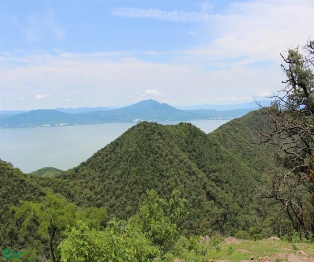 Terreno En Venta,Chapala Centro,Av. del Juaguey 1 int 8, Chapala, Jalisco 45900,Av. del Juaguey,MX251034934 Terreno En Venta,Chapala Centro,Av. del Juaguey 1 int 8, Chapala, Jalisco 45900,Av. del Juaguey,MX251034934