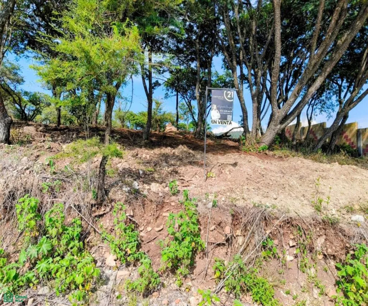 Terreno En Venta,Chapala Centro,av.del Jaguey 1, Chapala, Jalisco 45900,av.del Jaguey,MX251034935 Terreno En Venta,Chapala Centro,av.del Jaguey 1, Chapala, Jalisco 45900,av.del Jaguey,MX251034935