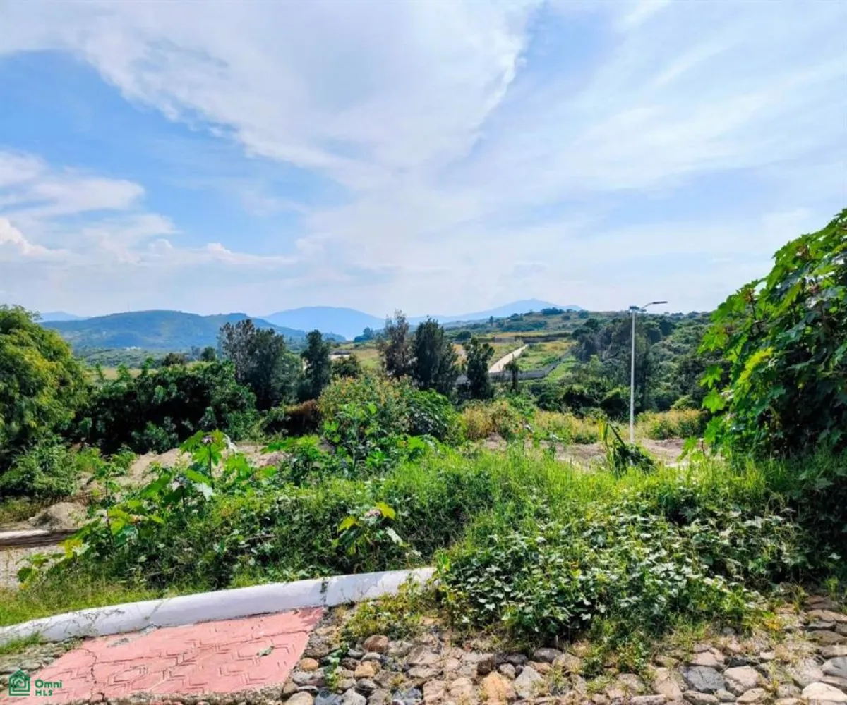 Terreno En Venta,Chapala Centro,av.del Jaguey 1, Chapala, Jalisco 45900,av.del Jaguey,MX251034935 Terreno En Venta,Chapala Centro,av.del Jaguey 1, Chapala, Jalisco 45900,av.del Jaguey,MX251034935