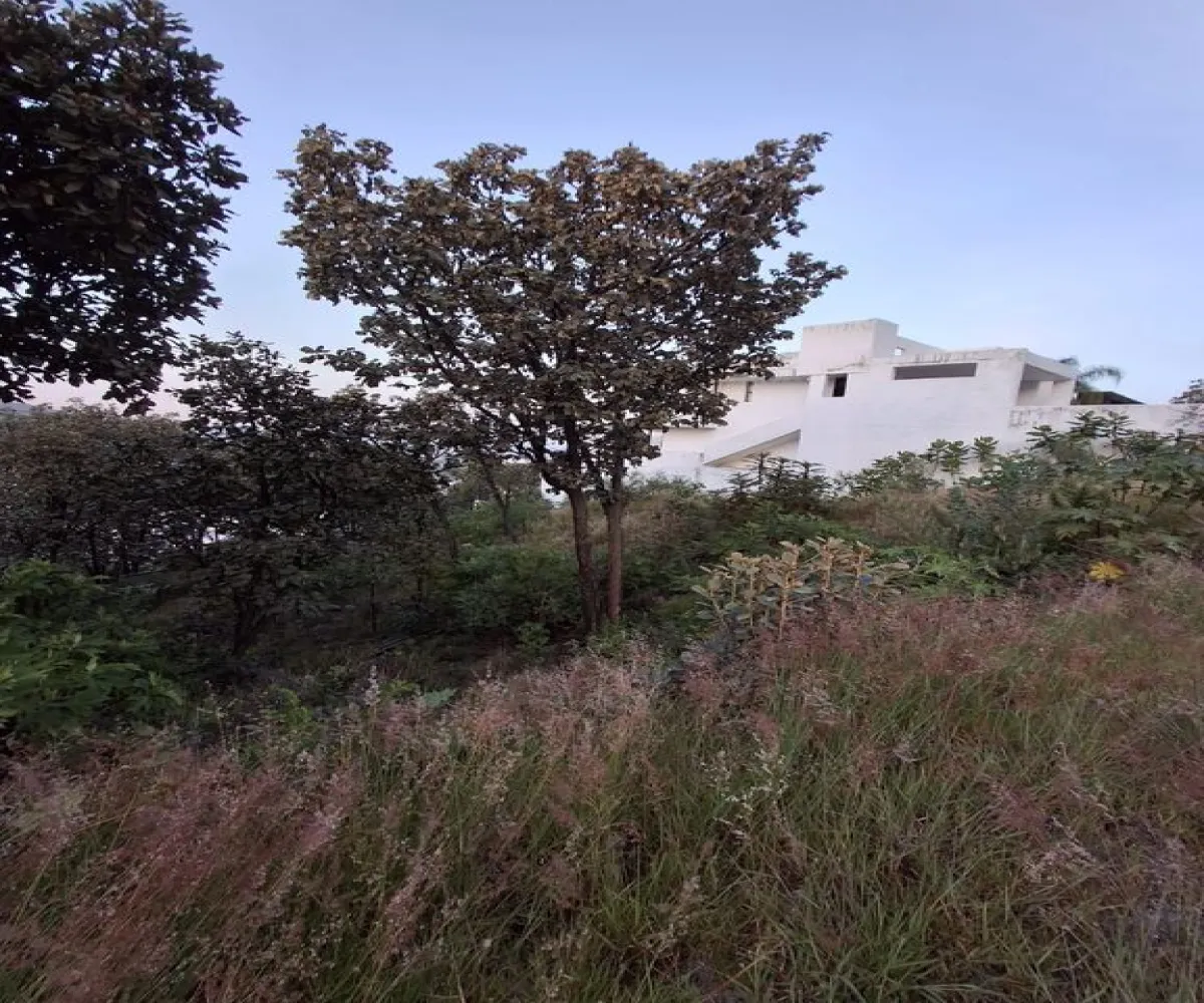 Terreno En Venta,Bugambilias,Paseo de Los Leones 494, Zapopan, Jalisco 45237,Paseo de Los Leones,pfstVjK