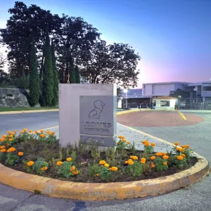 Terreno En Venta,Bugambilias,Paseo de Los Leones 494, Zapopan, Jalisco 45237,Paseo de Los Leones,pfstVjK