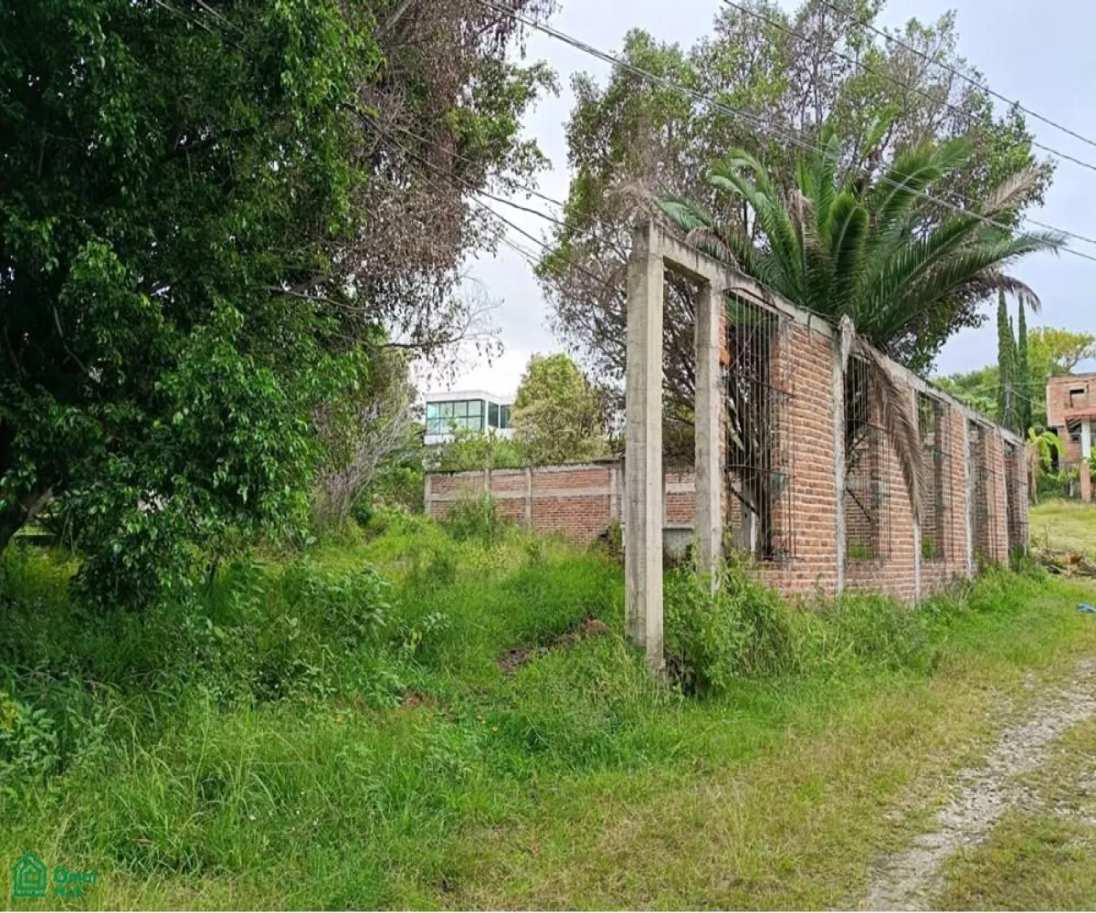 Terreno En Venta,Hacienda Los Cedros,Antigua carretera Chapala, fracción 8 S/N, Guadalajara, Jalisco 45850,Antigua carretera Chapala, fracción 8,MX251037516